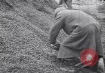 Image of Starving and desperate German civilians after World War 2 Munich Germany, 1945, second 18 stock footage video 65675075224