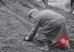 Image of Starving and desperate German civilians after World War 2 Munich Germany, 1945, second 19 stock footage video 65675075224