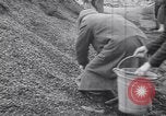 Image of Starving and desperate German civilians after World War 2 Munich Germany, 1945, second 20 stock footage video 65675075224