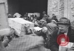 Image of Starving and desperate German civilians after World War 2 Munich Germany, 1945, second 38 stock footage video 65675075224