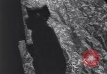 Standbild Bildung von Bomber Siena Italien, 1944, aus Sekunde 56 historischem Filmmaterial Videoclip 65675075226