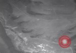 Standbild italienische Kampagne Attigliano Italien, 1944, aus Sekunde 23 historischem Filmmaterial Videoclip 65675075234