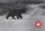 Image of convoy of trucks Alaska USA, 1943, second 62 stock footage video 65675075238