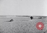Image of Erwin Rommel Africa, 1941, second 51 stock footage video 65675075241
