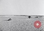 Image of Erwin Rommel Africa, 1941, second 52 stock footage video 65675075241