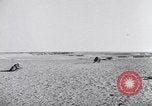 Image of Erwin Rommel Africa, 1941, second 54 stock footage video 65675075241