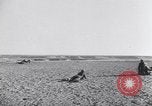 Image of Erwin Rommel Africa, 1941, second 61 stock footage video 65675075241