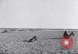 Image of Erwin Rommel Africa, 1941, second 62 stock footage video 65675075241