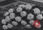 Image of Rudolf Hess Munich Germany, 1939, second 33 stock footage video 65675075242