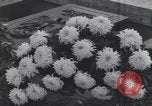 Image of Rudolf Hess Munich Germany, 1939, second 34 stock footage video 65675075242
