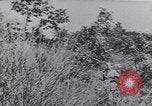 Image of German troops Italy, 1944, second 5 stock footage video 65675075256