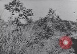 Image of German troops Italy, 1944, second 7 stock footage video 65675075256