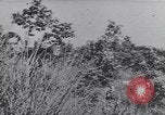 Image of German troops Italy, 1944, second 8 stock footage video 65675075256