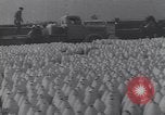 Standbild deutsche Truppen Italien, 1944, aus Sekunde 5 historischem Filmmaterial Videoclip 65675075257