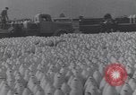 Standbild deutsche Truppen Italien, 1944, aus Sekunde 6 historischem Filmmaterial Videoclip 65675075257