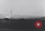 Image of German troops battle Allies in Italy and take US prisoners Italy, 1944, second 7 stock footage video 65675075261