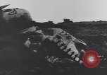 Image of German troops battle Allies in Italy and take US prisoners Italy, 1944, second 17 stock footage video 65675075261