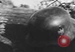 Image of German troops battle Allies in Italy and take US prisoners Italy, 1944, second 55 stock footage video 65675075261