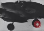 Image of German fighter airplanes Italy, 1944, second 11 stock footage video 65675075262