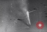 Image of German fighter airplanes Italy, 1944, second 23 stock footage video 65675075262
