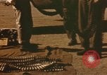 Standbild B-17 Flying Fortress Bomber Algier Algerien, 1943, aus Sekunde 13 historischem Filmmaterial Videoclip 65675075265
