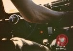 Standbild B-17 Flying Fortress Bomber Algier Algerien, 1943, aus Sekunde 41 historischem Filmmaterial Videoclip 65675075265