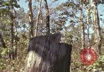 Image of submachine guns Vietnam, 1967, second 14 stock footage video 65675075267