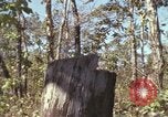 Image of submachine guns Vietnam, 1967, second 15 stock footage video 65675075267