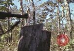 Image of submachine guns Vietnam, 1967, second 17 stock footage video 65675075267