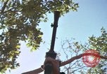 Image of submachine guns Vietnam, 1967, second 46 stock footage video 65675075267