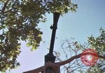 Image of submachine guns Vietnam, 1967, second 52 stock footage video 65675075267