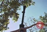 Image of submachine guns Vietnam, 1967, second 54 stock footage video 65675075267