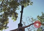 Image of submachine guns Vietnam, 1967, second 56 stock footage video 65675075267