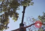 Image of submachine guns Vietnam, 1967, second 60 stock footage video 65675075267