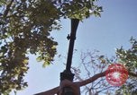Image of submachine guns Vietnam, 1967, second 61 stock footage video 65675075267