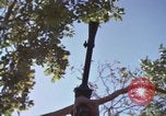 Image of submachine guns Vietnam, 1967, second 62 stock footage video 65675075267