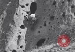 Image of Pueblo villages United States USA, 1920, second 24 stock footage video 65675075279