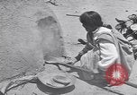 Image of Pueblo Native American Indian food preparation United States USA, 1920, second 53 stock footage video 65675075281