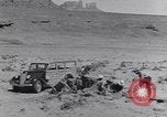 Image of Native American Indian bones found in Monument Valley Utah United States USA, 1937, second 11 stock footage video 65675075285