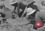 Image of Native American Indian bones found in Monument Valley Utah United States USA, 1937, second 16 stock footage video 65675075285