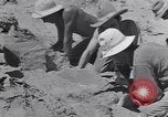 Image of Native American Indian bones found in Monument Valley Utah United States USA, 1937, second 17 stock footage video 65675075285