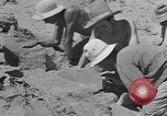 Image of Native American Indian bones found in Monument Valley Utah United States USA, 1937, second 19 stock footage video 65675075285