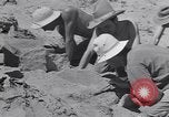 Image of Native American Indian bones found in Monument Valley Utah United States USA, 1937, second 21 stock footage video 65675075285