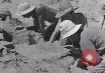 Image of Native American Indian bones found in Monument Valley Utah United States USA, 1937, second 23 stock footage video 65675075285