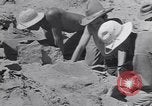 Image of Native American Indian bones found in Monument Valley Utah United States USA, 1937, second 24 stock footage video 65675075285