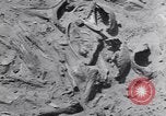 Image of Native American Indian bones found in Monument Valley Utah United States USA, 1937, second 25 stock footage video 65675075285