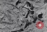 Image of Native American Indian bones found in Monument Valley Utah United States USA, 1937, second 26 stock footage video 65675075285