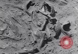 Image of Native American Indian bones found in Monument Valley Utah United States USA, 1937, second 27 stock footage video 65675075285