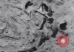 Image of Native American Indian bones found in Monument Valley Utah United States USA, 1937, second 28 stock footage video 65675075285