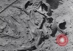 Image of Native American Indian bones found in Monument Valley Utah United States USA, 1937, second 30 stock footage video 65675075285
